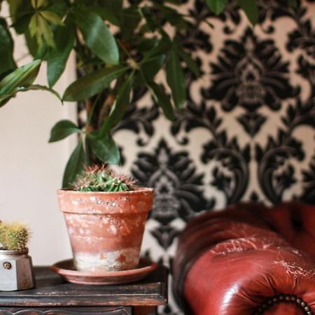Coliving Trastevere روما المظهر الخارجي الصورة